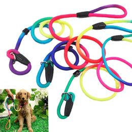 Leashes Rainbow Pet Dog Nylon Rope Training Leash Slip Lead Strap Adjustable Traction Collar