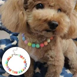 Dog Collars Fashion Candy Color Pets Necklace Extension Chain Design Colorful Pet Collar Decorative Dogs Faux Pearls Loop