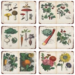 Fruits Metal Tin Signs Field Plants Art Plaque Flowers Wall Sticker Mushroom Retro Poster Farm Ktichen Vintage Home Decor 20x30cm Wo3