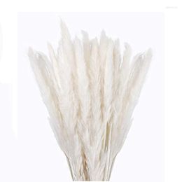 Decorative Flowers 30 Pcs White Pampas Grass 17inch Natural Dried Branches Decor For Home Kitchen Garden Party Pographing