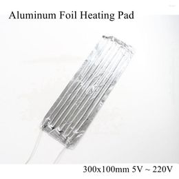 Carpets Aluminium Foil Heating Pad 300x100mm 5V 12V 24V 220V Electric Heater Mat Sheet Plate Adhesive Waterproof 3D Printer Refrigerator