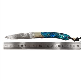 1Pcs H2376 Folding Blade Knife 67 Layers VG10 Damascus Steel Blade Abalone shell wtih Brass Handle Outdoor Camping Hiking EDC Pocket Folder Knives