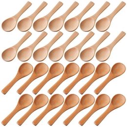 Coffee Scoops Small Wooden Spoons Mini Tasting Condiments Salt for Kitchen Cooking Seasoning Oil Tea Sugar 30Pcs 230224