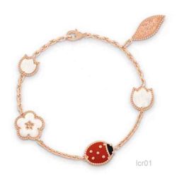 Luxury Designer Europe Top Quality Famous Silver Jewellery Rose Gold Colour Natural Gemstone Lucky Ladybug Spring