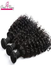 Water Wave Brazilian Hair Extension Big Curly 100 Unprocessed Virgin Human Hair Bundle 3pcslot Dyeable Ocean Hair Weave Weft gre3546430