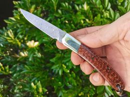 H2375 Folding Blade Knife 67 Layers VG10 Damascus Steel Blade Snakewood wtih Brass Handle Outdoor Camping Hiking EDC Pocket Folder Knives