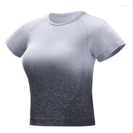 Active Shirts Seamless Sport T-Shirt Sportswear For Women Gym Running Crop Top Short Sleeve Gradient Color Yoga Training Fitness Clothe