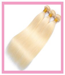 Indian Blonde Colour Virgin Human Hair Extensions 1030inch Double Wefts Silky Straight 6134888057