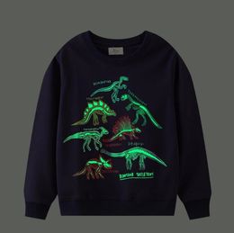 Glow Dinosaur Shark Jumper baby boy girl hoodies kids designer clothes pullover Sweatshirt children coat