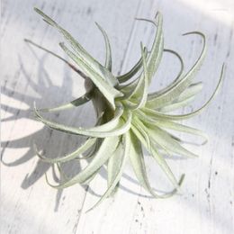 Decorative Flowers Artificial Pineapple Grass Air Plants Fake Faux Flocking Tillandsia Bromeliads For Home Garden Wall Decoration Wholesale