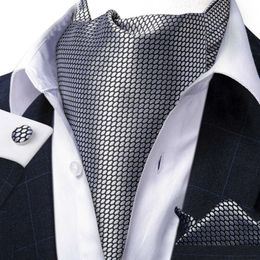 Neck Ties Jacquard Men Plaid Ascots Fashion Paisley Ties Wedding Formal Cravat Ascot British Gentleman Soft Polyester Luxury Neck Tie
