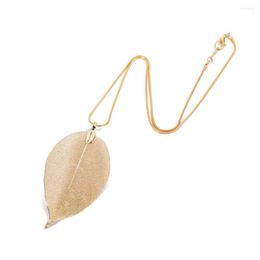 Pendant Necklaces Real Tree Leaf Necklace Women 4 Colour Long Chain Hollow Pendants Cloth Accessories Fashion Jewellery Party Bijoux Femme