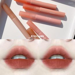 Lip Gloss 12 Shades Velvet Matte Liquid Lipstick Waterproof Plumper Long Lasting Sexy Women Tint Makeup Cosmetics