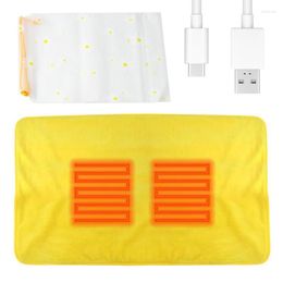 Carpets Electric Heating Pad Heated Mat For Back Discomfort Waterproof USB Pads With Constant Temp Hand Foot Leg Stomach