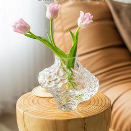 Vases Nordic Valley Pattern Irregular Transparent Glass Water-cultured Flower Arranger Simple Advanced Hydroponic Vase