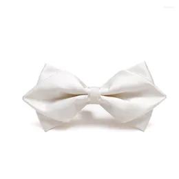 Bow Ties Brand Top Quality Tie For Men Luxurious Refined Men's Bowtie Great Party Fashion Wedding With Gift Box