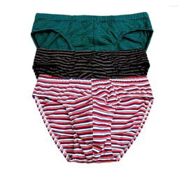 Underpants 3pack Men's Cotton Briefs Fashion Stripe Underwear Breathable Bodysuit Male Comfortable S-XXL