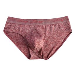 Underpants Fashion Sexy Underwear Briefs Men Mesh Solid Color Pouch Male Panties Mens Gay Breathable