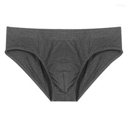 Underpants 2PCS/ Lot Men's Underwear Briefs Modal Fabric Breathable Solid Colour Front Crotch Double Layer Sexy Men Size M-4XL