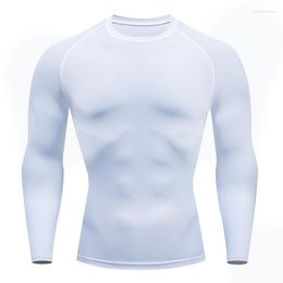 Men's T Shirts T-shirt Men's Tracksuit Rashgarda MMA Long Sleeves Top Compression Shirt Bodybuilding Fitness Casual Men Brand Clothing