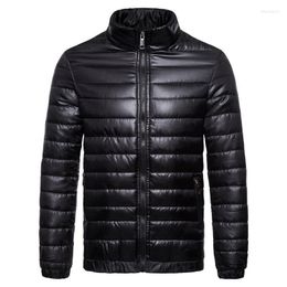 Men's Down Fashion Winter Jacket Men Solid Stand Collar Mens Nice Casual Striped Streetwear Windbreaker Warm Parkas