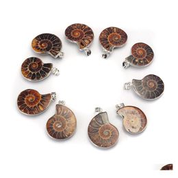 car dvr Pendant Necklaces Natural Stone Chrysanthemum Fossil Sier Plated Bail Men And Women Fashion Jewellery Minimalist Style Drop Delivery Pe Dhaeq