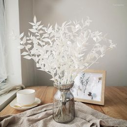 Decorative Flowers Eternal Rich Leaves Branch Dried Natural Real Preserved Wedding Arrangement Plant Diy Material Home Christmas Room Decor