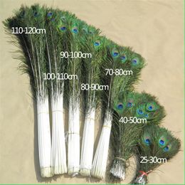 100pcs high quality Whole 10pcs Beautiful Natural Real Peacock Tail Eyes Feathers Full Size 25-100cm 10-40inches206S