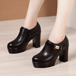 Dress Shoes Women Pumps High Heels Deep Mouth Platform Fashion Black Office Large Size Ladies Fall Winter Female