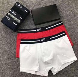 Designer Mens Underwear Underpants Boxer Organic Cotton Shorts Modal Sexy Gay Male Boxers Breathable New Mesh Man Underwear Asian Size M-XXL