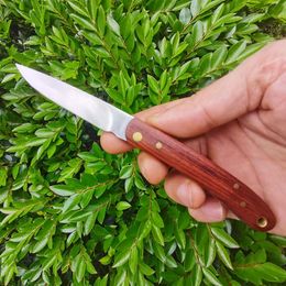 Promotion H2373 Folding Blade Fruit Knife 420C Satin Blade Wood Handle Outdoor Camping Hiking EDC Pocket Folder Knives