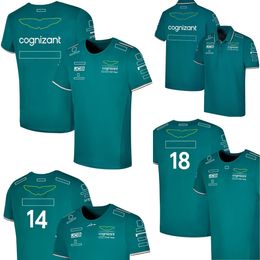 F1 2023 Official Team Driver T-Shirt Formula 1 Racing Polo Shirt Short Sleeve Same Fans Summer Fashion Green Jersey T-shirt Custom 8040