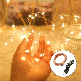 Strings Fairy Lights Led Garland Holiday String Light Wire DIY 1M 2M 3M USB Powered Outdoor Cooper Christmas Wedding Party Decoration