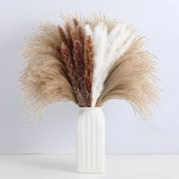 Decorative Flowers Natural Fluffy Dried Branches 60PCS White Pompous Dry For Vase Floral Arrangement Boho Wedding Home Decor Bouquet