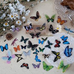 Gift Wrap 40 Sheets PET Stickers Wings Herbalist Series Material Decoration DIY Scrapbooking Butterfly Dragonfly Animal Vintage Sticker