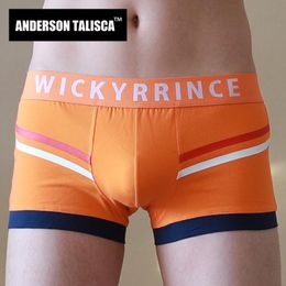 Underpants ANDERSON TALISCA Cotton Underwear Men Boxer Two-line Para Hombre Man Penis Mens Boxers Cuecas Masculina Boxershorts Homme M-3XL