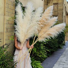 Decorative Flowers Wreaths 120cm Natural Dried Flower Reed Pampas Grass Boho Home Decor Wedding Decorations Farm Background 230227