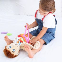Science Discovery Modelo de Corpo Humano Anatomia Doll Doll Doll Toy Anatômico Os órgãos internos Consciência Aprenda o brinquedo Early Education para a pré -escola 230227