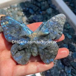 Incredible Labradorite Quartz Crystal Skull Butterfly Sculpture Crafts Carving Nature Rainbow Flash Spectrolite Gemstone Mermaid Figurine Specimen Unique Gift