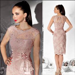 2023 Blush Pink Sheath Spets Mother of the Bride Dresses Kne Len längd pärlstav Sash Scoop halsringning Cap Hylsa Kort ren formell aftonklänningar