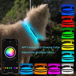 Collars Led Dog Collar Bluetooth APP Multiple RGB Colors Light Up Dog Collar USB Rechargeable Waterproof Dog Collar Light for Night Safe