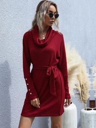 Women's Sweaters Soon Knit Sweater Winter Red Knitted Pullover Autumn Pile Collar Solid Knitting Medium Long Sleeved Wool Dress