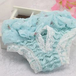 Dog Apparel Pet Physiological Pants Puppy Shorts Sanitary Brief Panties Washable Durable Doggy Diapers Underwear Short