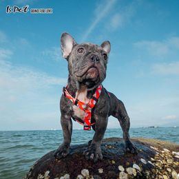 Harnesses Fashion and Cute Puppy Pet Dog Harness, Safe Design and Good Quality