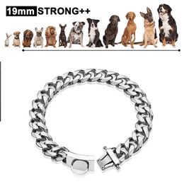 Collars 19MM 304 Stainless Steel Strong Metal Dog Chain Collars Pet Training Choke Collar For Large Dogs Pitbull Bulldog Silver Show