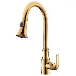 Kitchen Faucets Pulling Type Faucet Cold And Washing Basin Sink Yellow Rotating Gold Single Hole Water