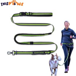 Leashes Hands Free Leash for Dogs Running Leashes Belt Lead Reflective Retractable Leash For Large Dogs Padded Handle / Carabiner Clip