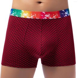 Underpants Sexy Men Underwear Boxers Breathable Mesh Masculina Boxershorts Rainbow Belt Male Cueca Big Penis Pouch Panties