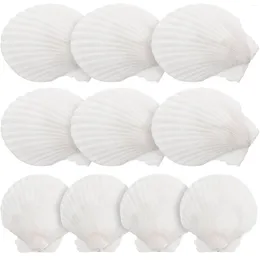 Vases 10 Pcs Decor Home Seashells Shell Decoration Conch Bead Aquarium Nautical Ornaments Pendant