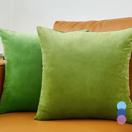 Pillow Green Cover Velvet Sofa Decorative Pillows 45 For Living Room Luxury Kussenhoes Decoration Home Decor